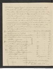 Nachlass Franz Steindachner, Brief von Gustav Schneider (junior) an Franz Steindachner (30.04.1901), Inv.Nr. 462.01, Seite 2
